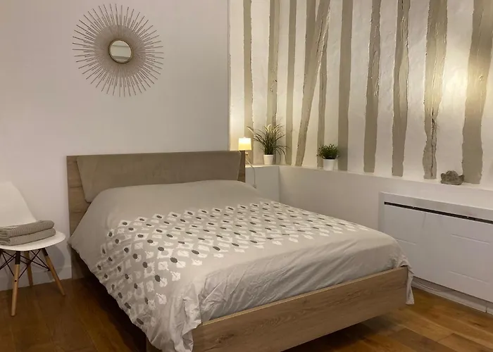 N 2 Cosy Hypercentre, Rue Saint Nicolas Appartement